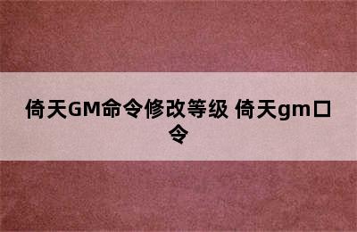 倚天GM命令修改等级 倚天gm口令